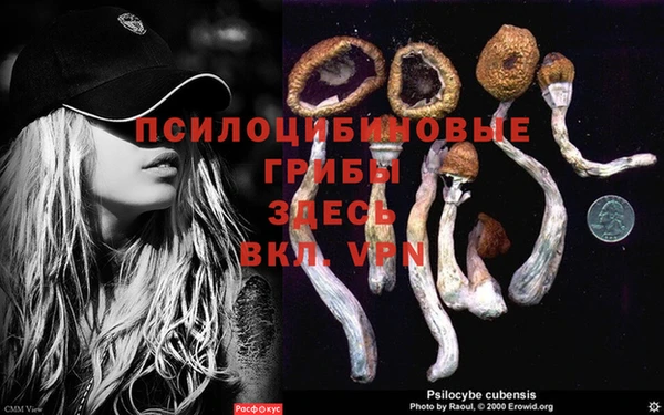 MESCALINE Богданович