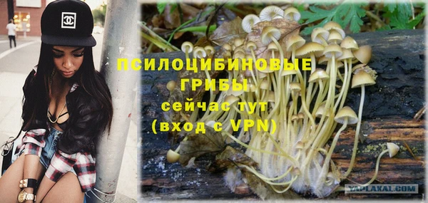 MESCALINE Богданович