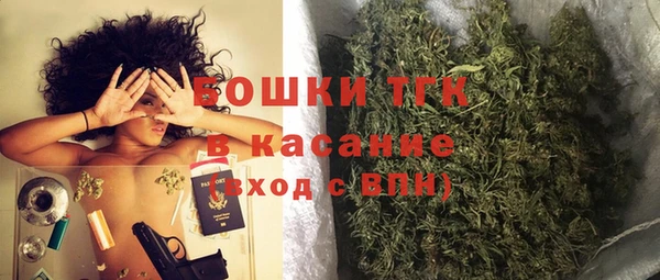 амф Богородск