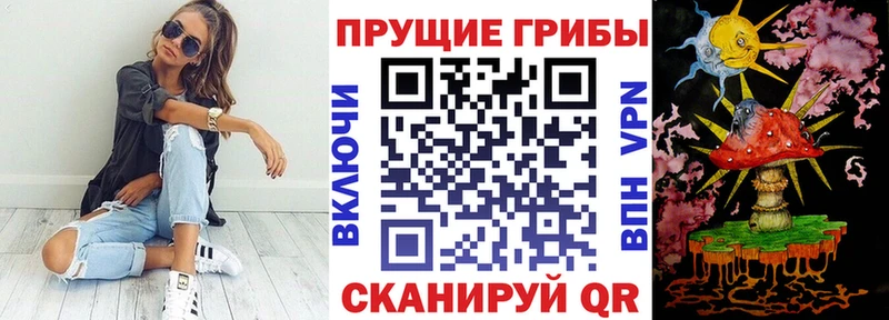 Галлюциногенные грибы ЛСД  продажа наркотиков  Павловская 